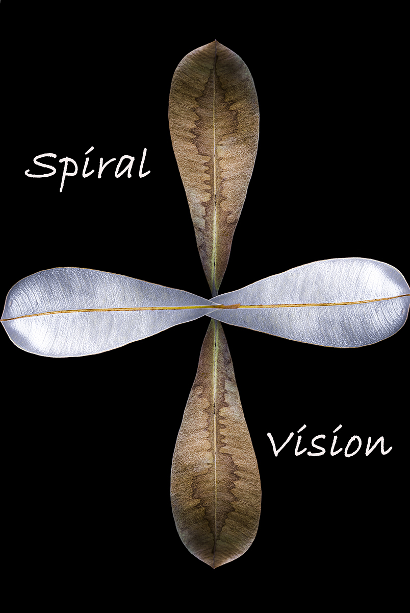 Spiral Vision