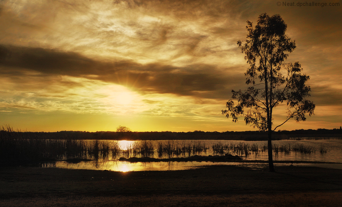 Wetlands