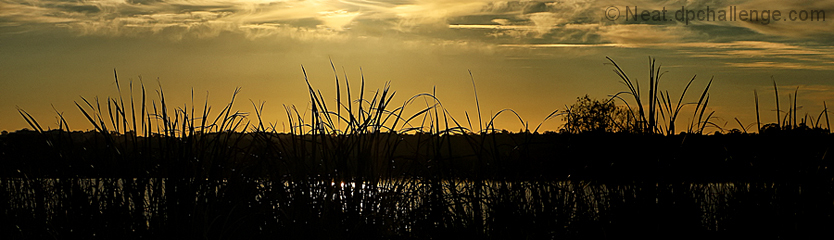 As the day breaks