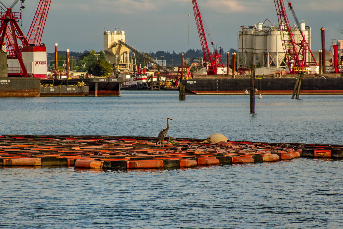 On the Duwamish River