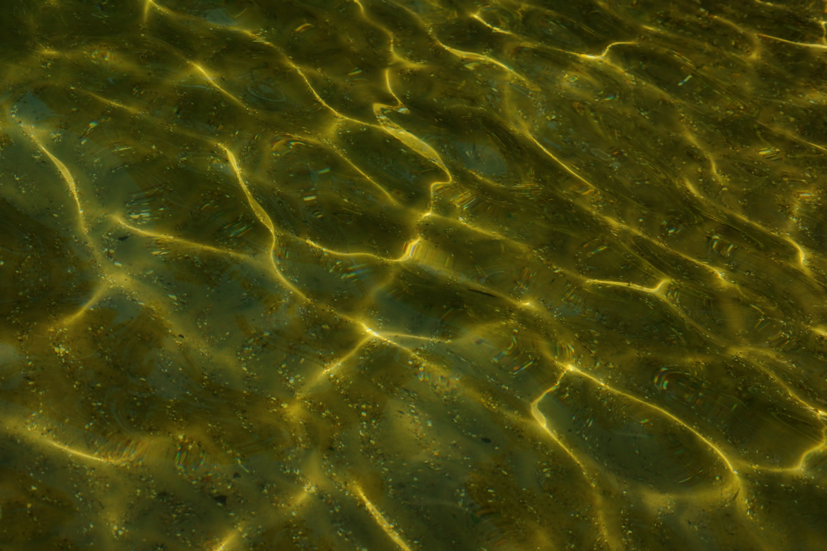 Torch Lake, Late Afternoon