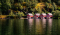 Boat Houses ~ Aurlandsfjorden ~ Fl�m Norway