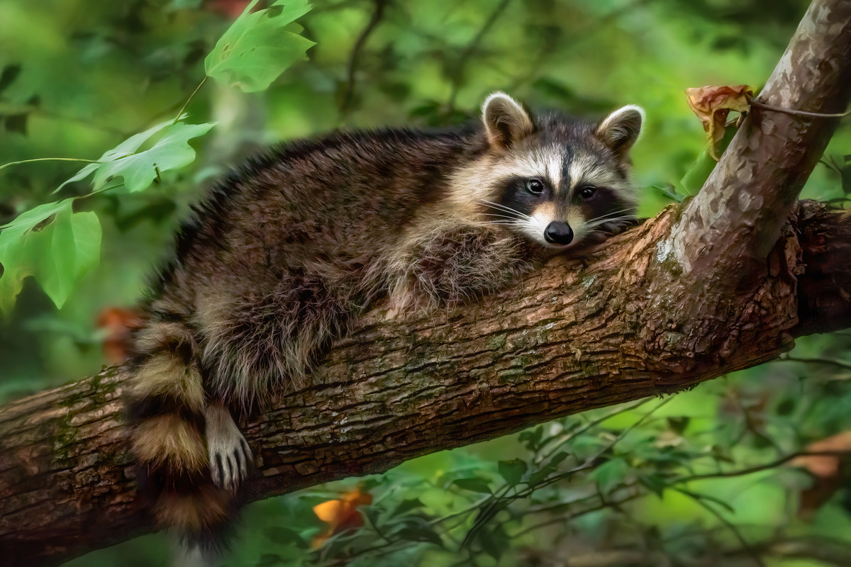 Hanging Out