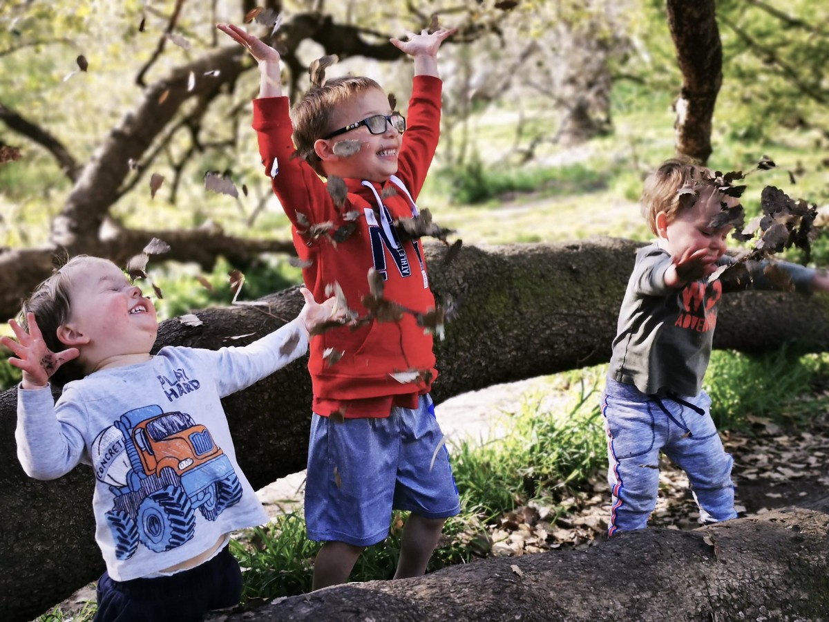 Fun in the park