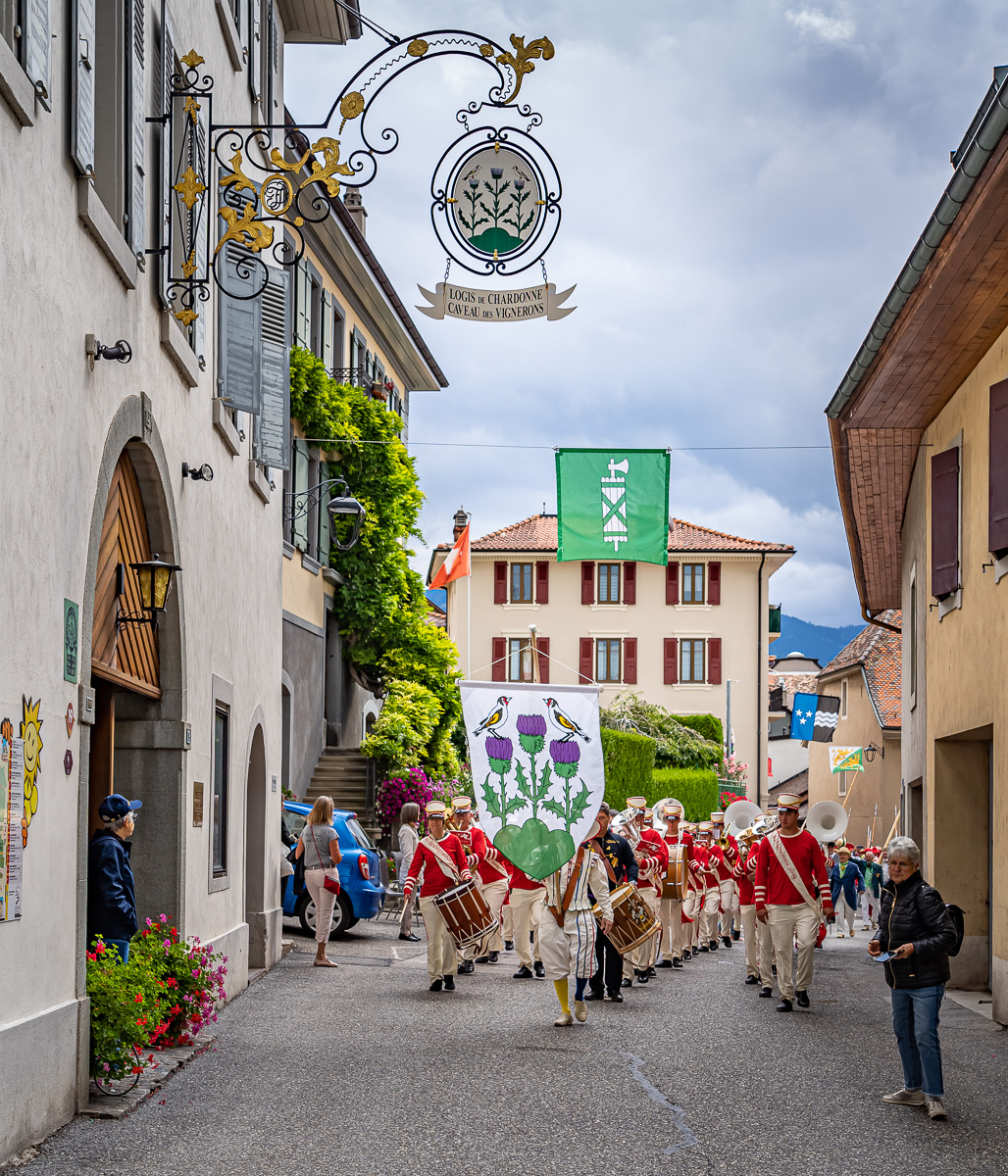 Neighborhood Celebration