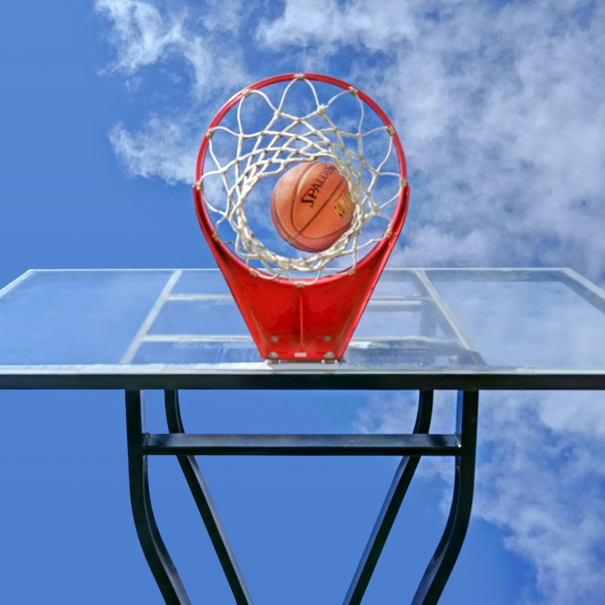 Nothing but Net