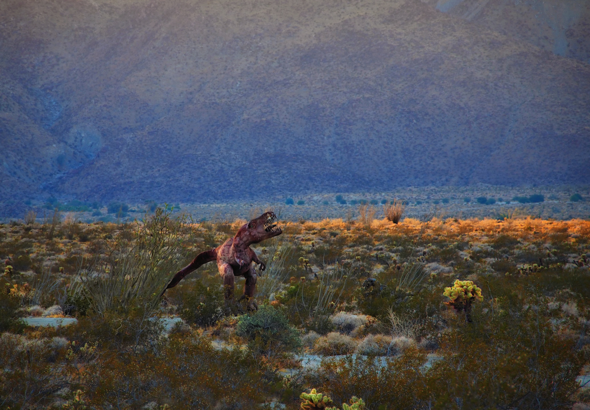 Photographing from a safe distance