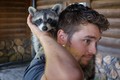 Raccoon Love Portrait