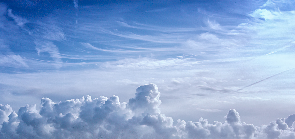 The Wild Blue Yonder