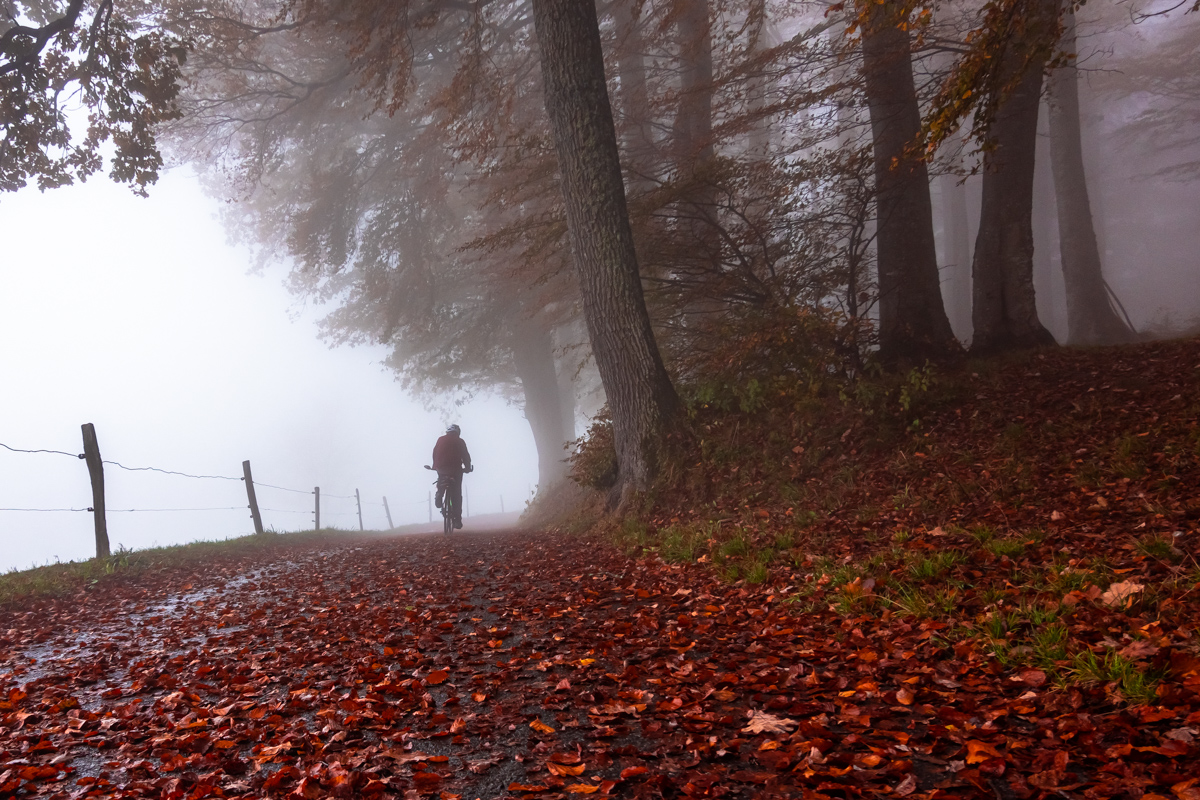 Fall Cyclist