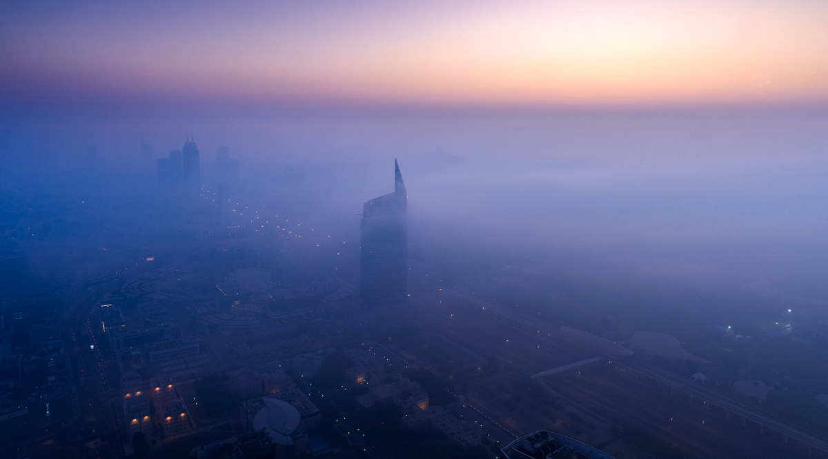 Foggy Dawn