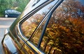 reflection