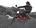 Honda CT Trail, The Classic Adventure Farm Bike!