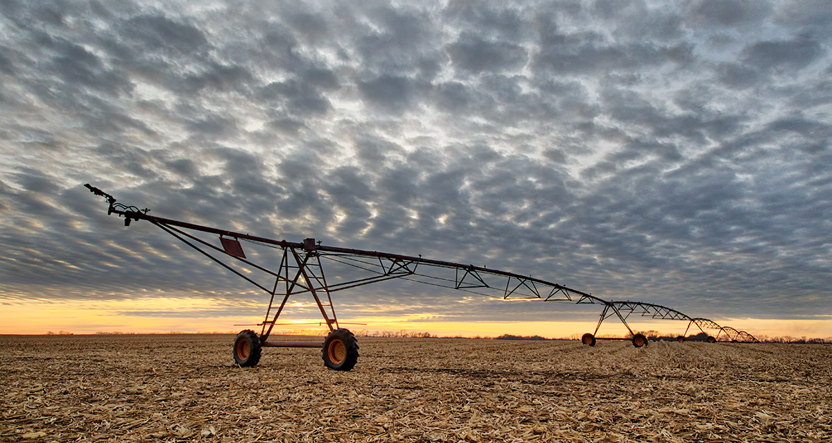 After the Harvest