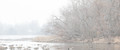 Winter Morning at the Lake