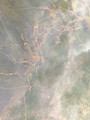 Network