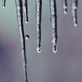 icicles
