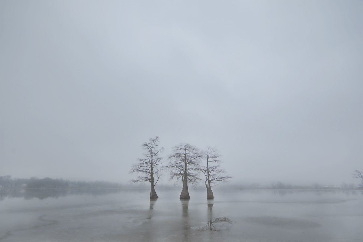 Trois Arbres