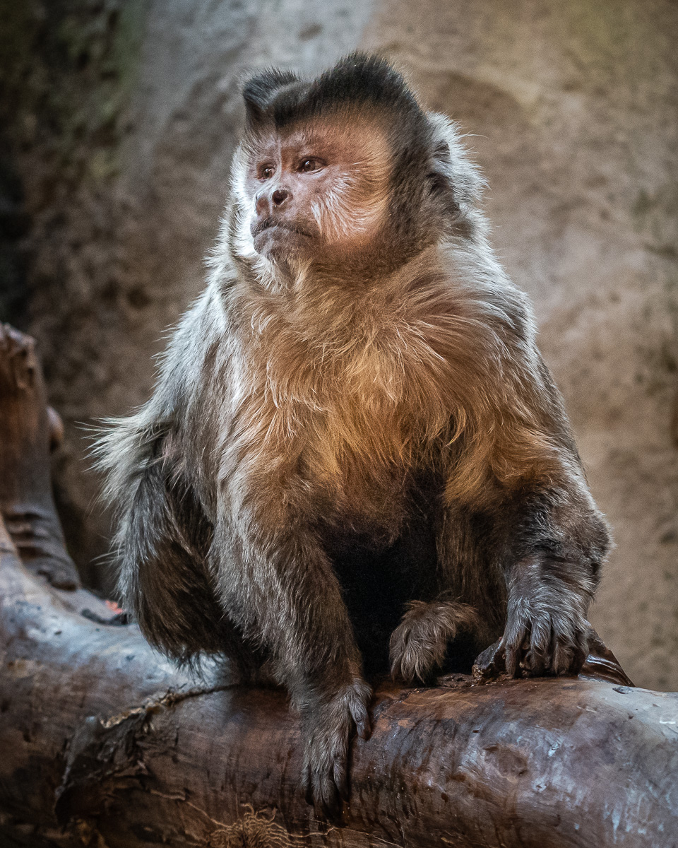 A portrait of an elder