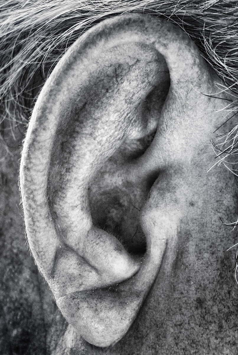 He who has an ear