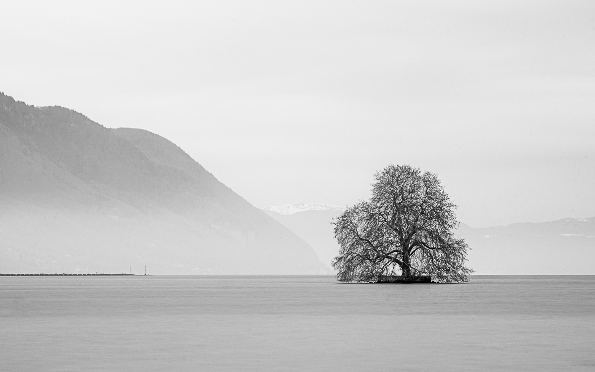 One Tree Island
