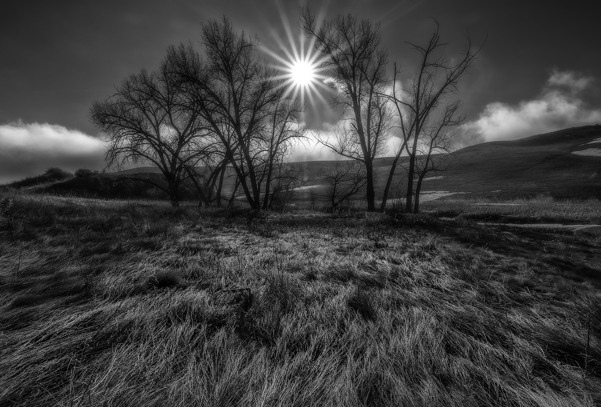 ...and the light shall penetrate all things