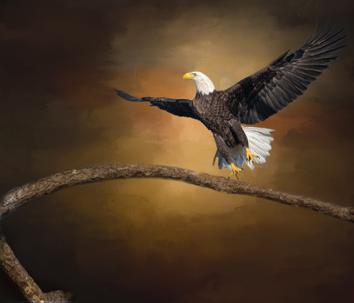 Balancing Act