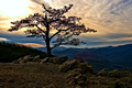 Raven's Knob