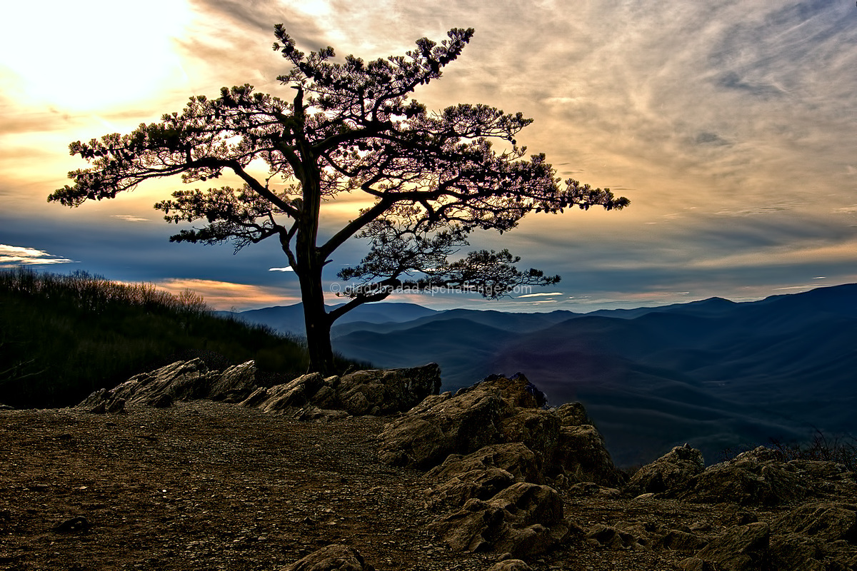 Raven's Knob