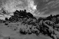 Snowy Joshua Tree