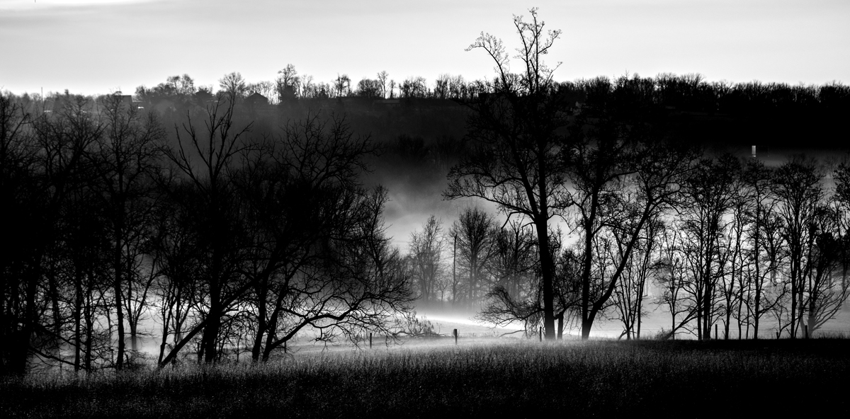 Misty Valley