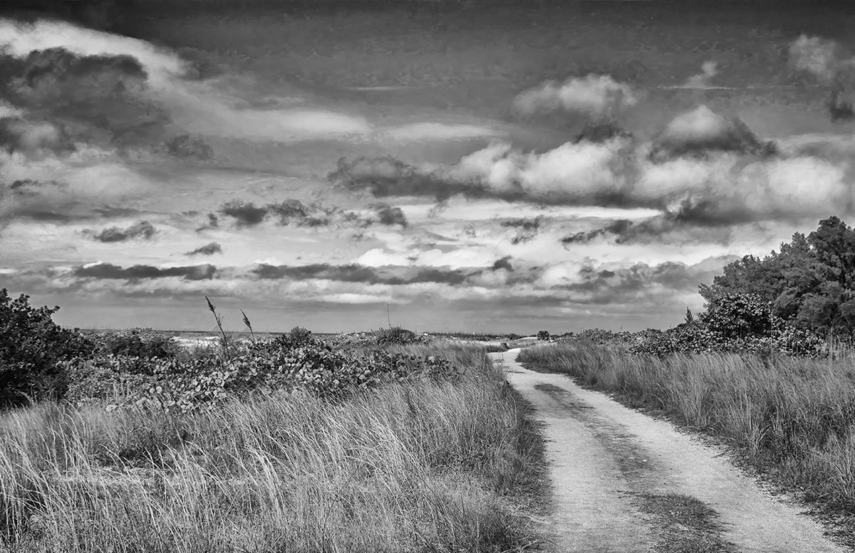 The Beach Road