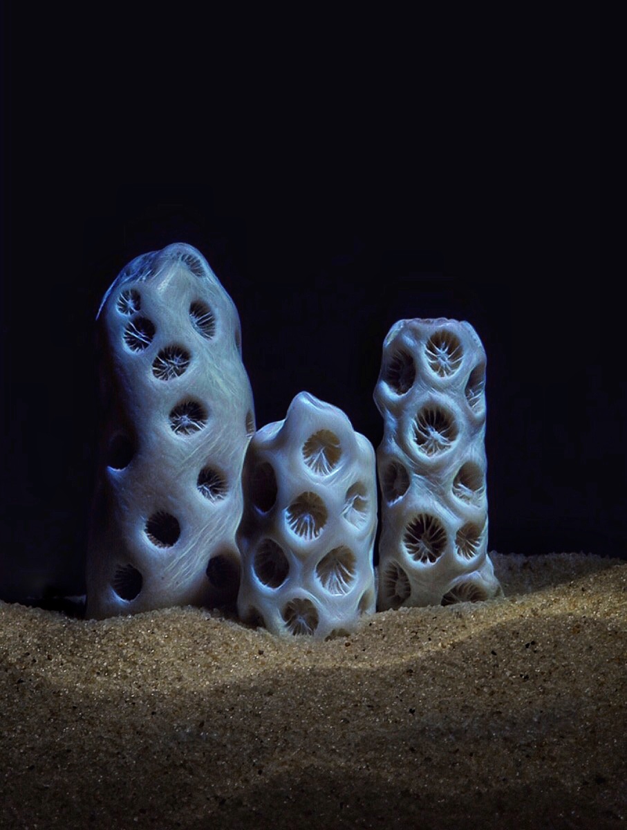 The Astrhelia Towers & Suites