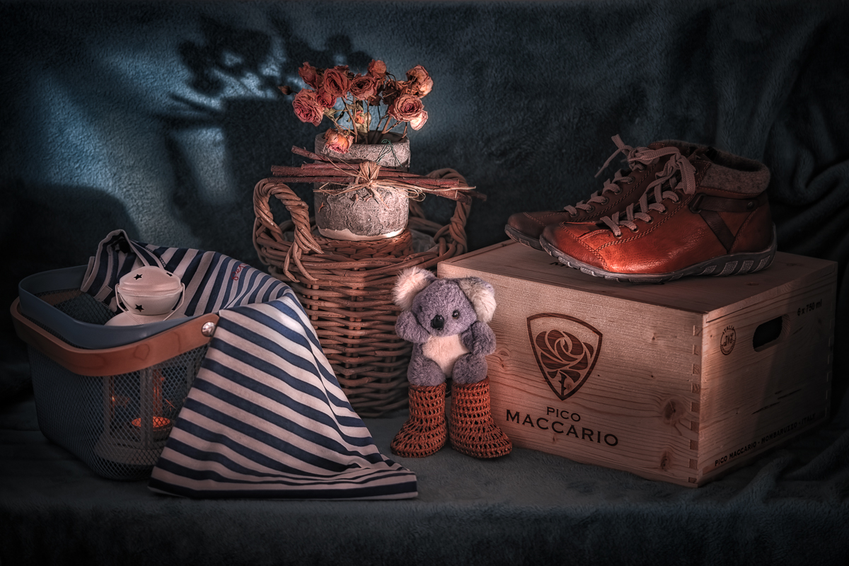 Still life with a koala