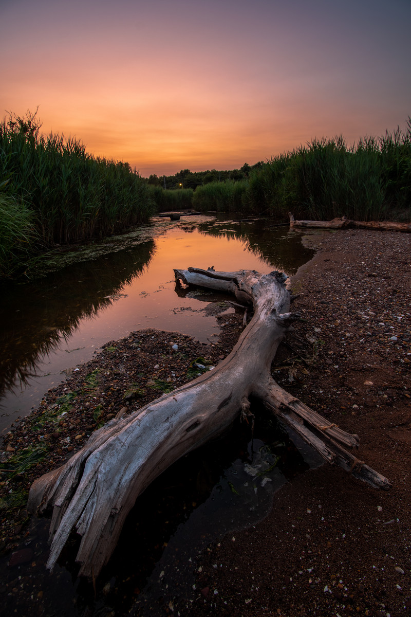 Drifting along driftwood