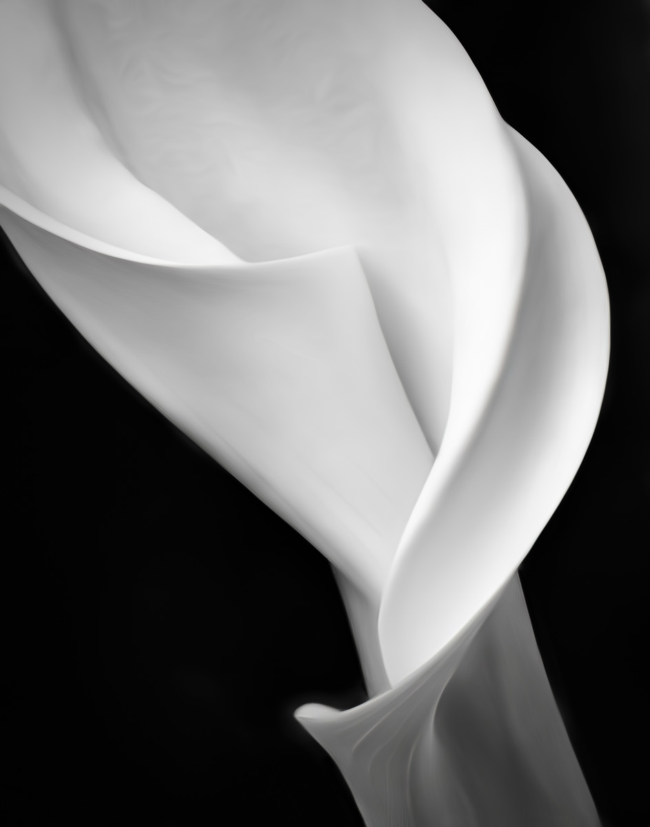 Celebrating Curves