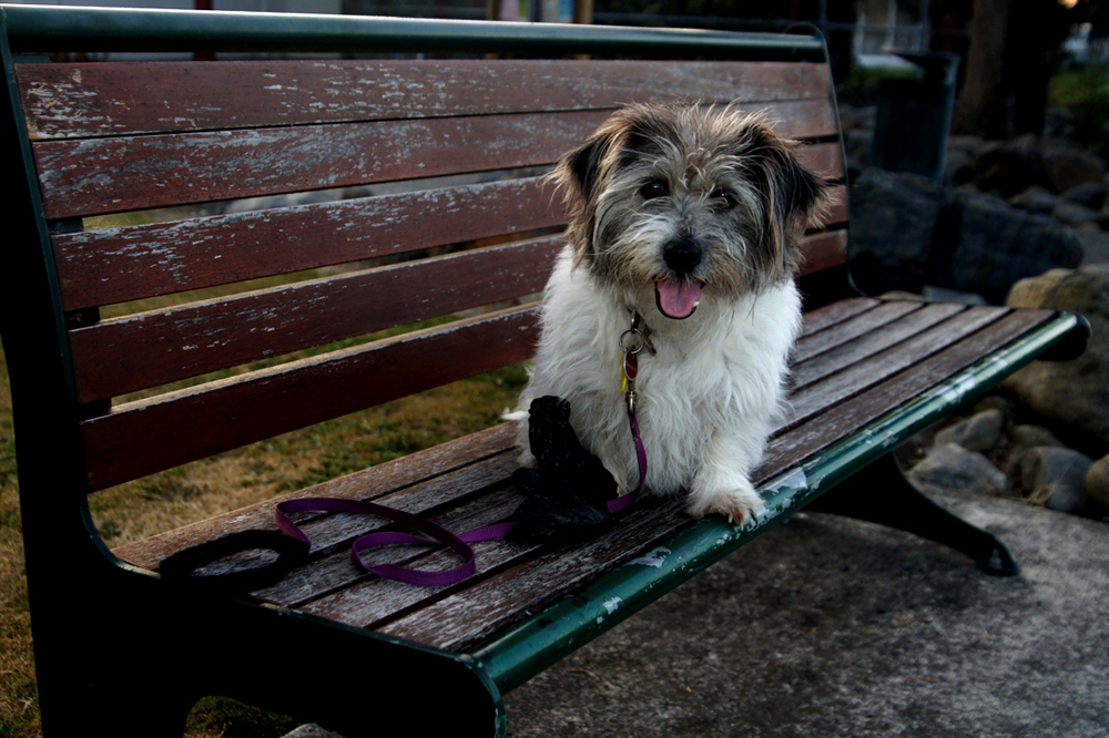 DUMPED,Abandoned:  and then he shot through with another Sheila.