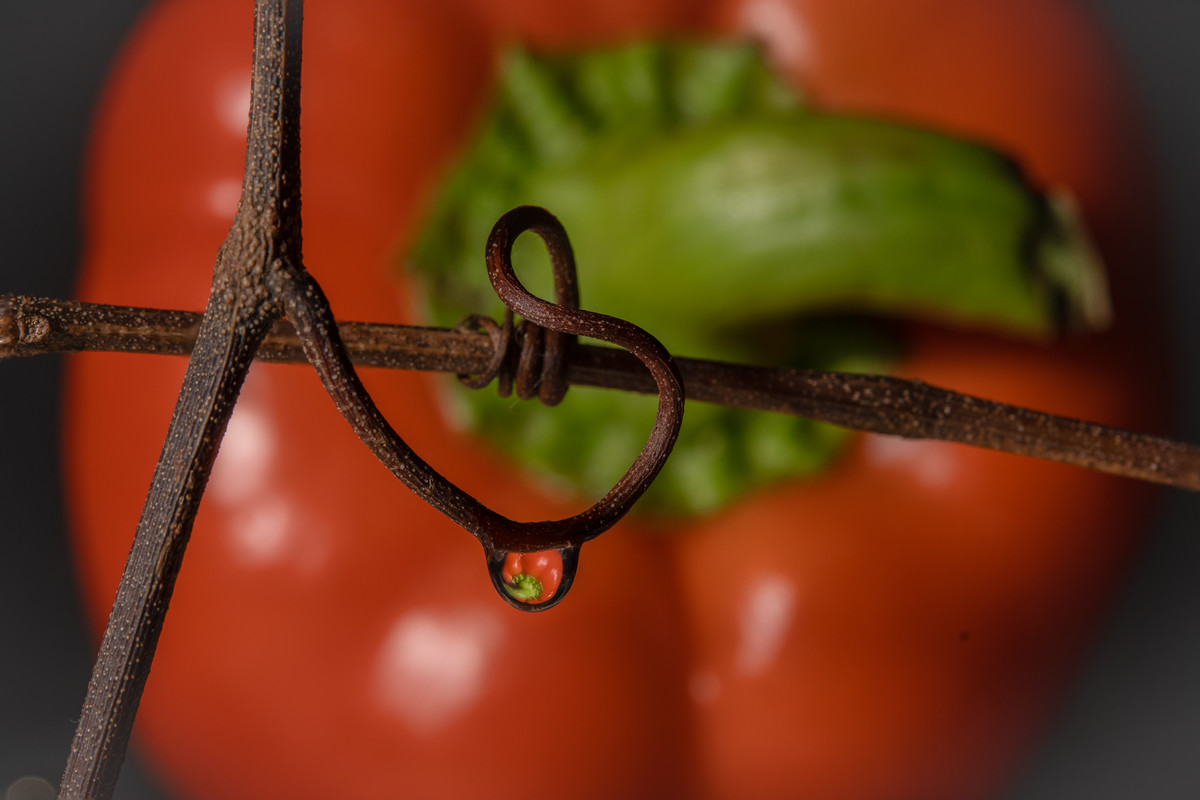 pepper reflection