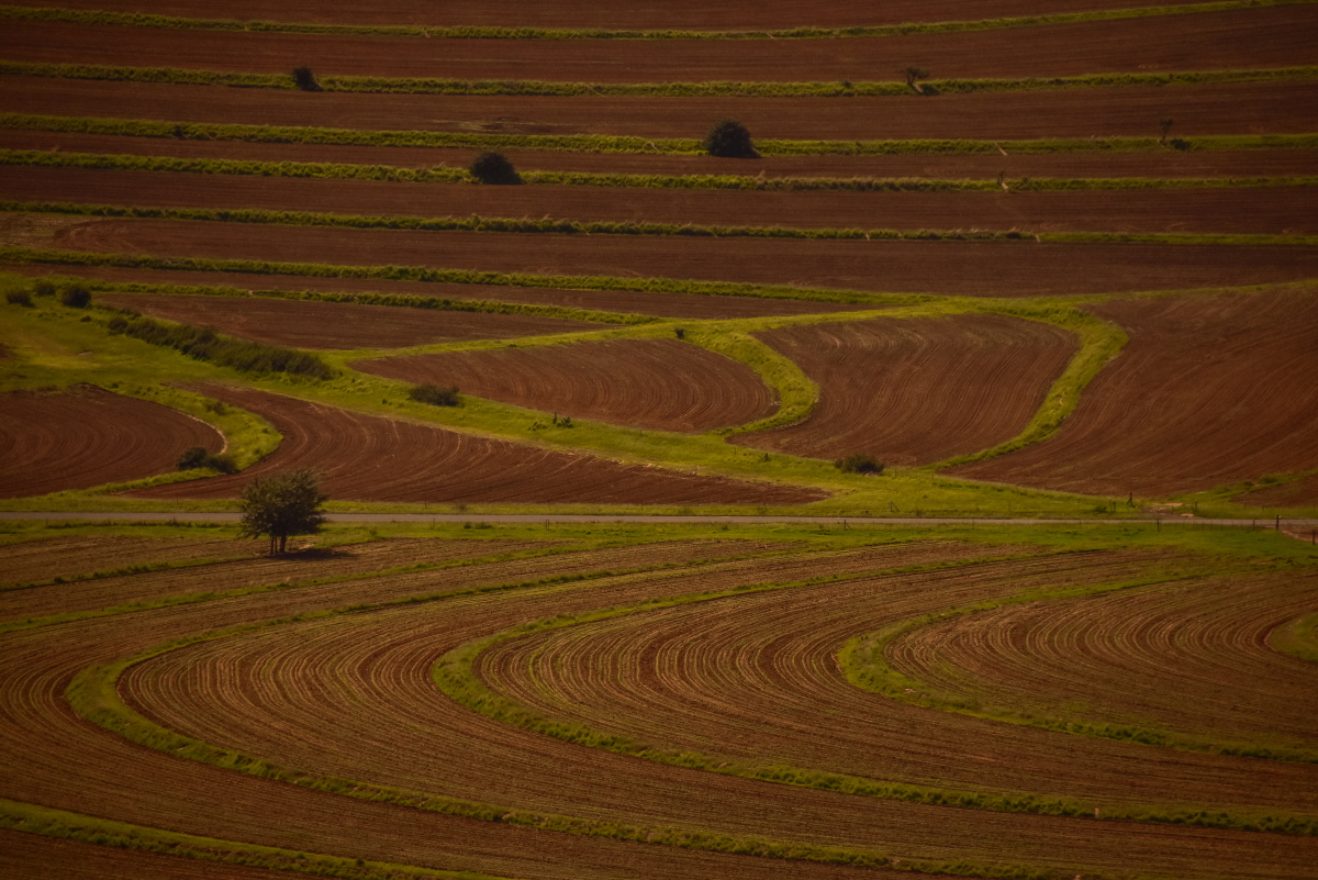 Rejuvenated soil