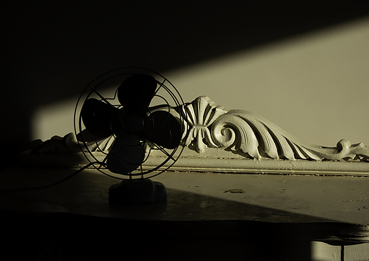 Silhouette of the Fan