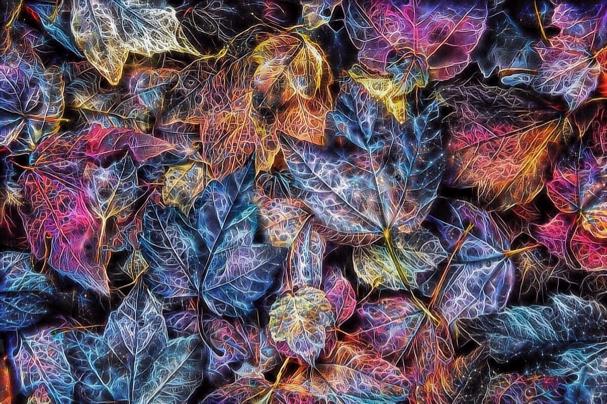 leaf souls