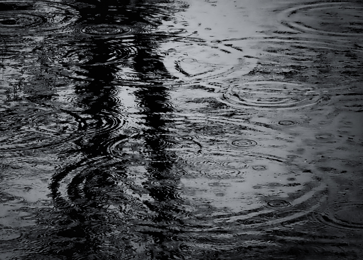 Dispersive Waves in a Shallow Puddle