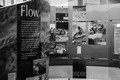 Exhibition Flow