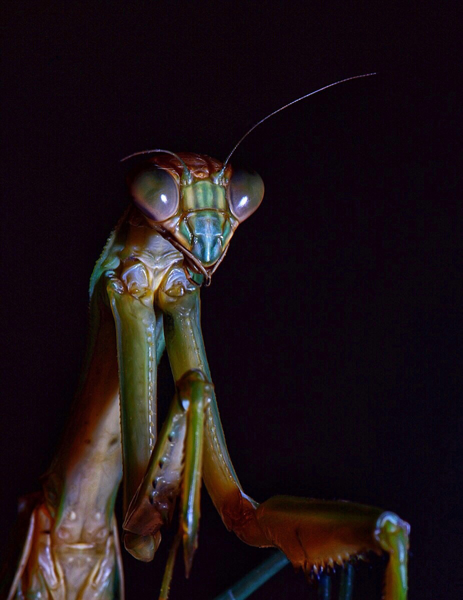 Up close and personal