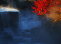 First Light