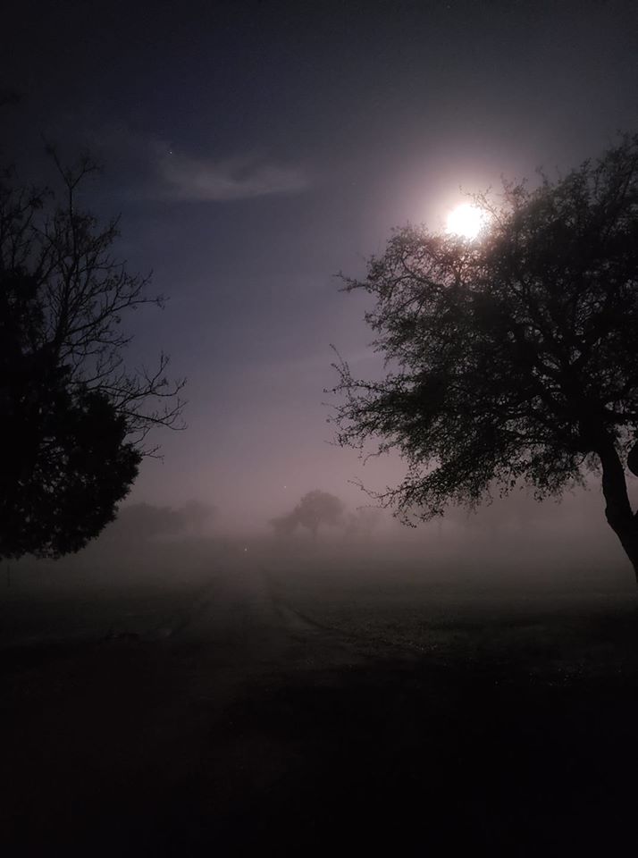full moon light fog