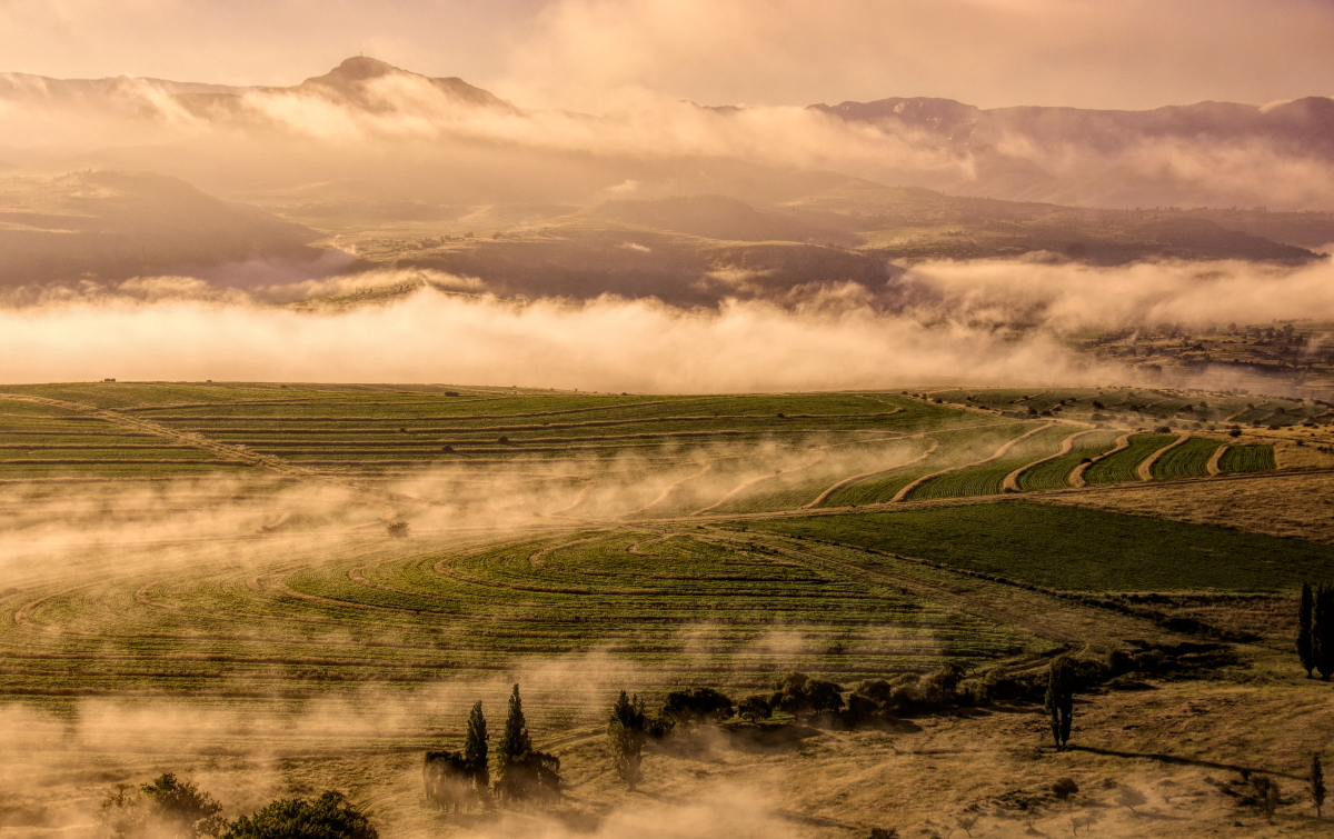 Low clouds