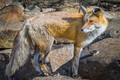 Shedding Your Winter Coat