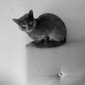 her majesty