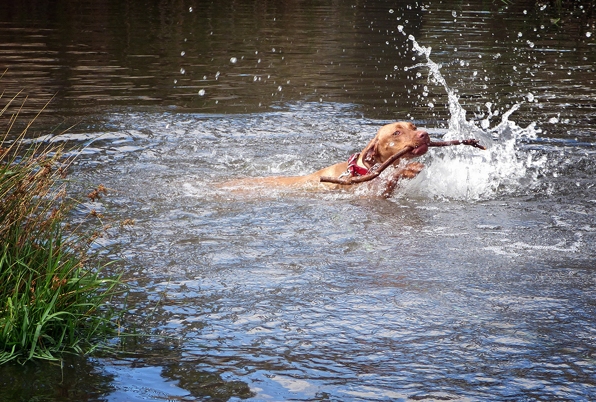 Retrieving a Kinked Stick